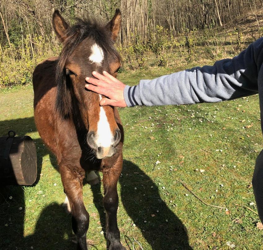 Residence Ai Laghi Temossi Kültér fotó